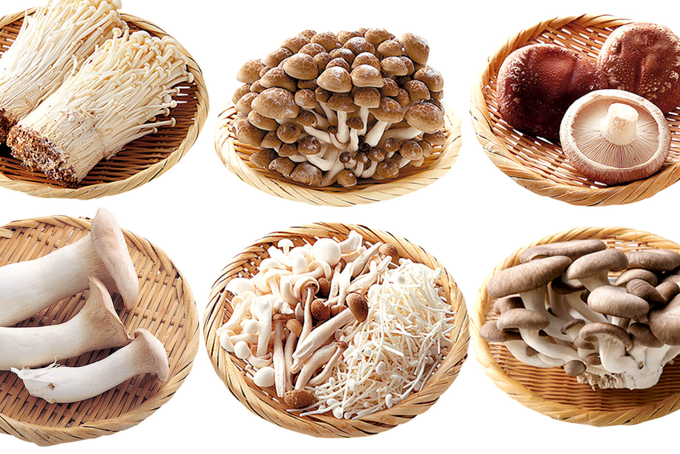 秋に食べたくなる？！きのこを美味しく。コラムMCT&KETO専門店 勝山館