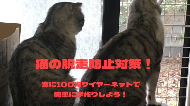 猫のアログルーミングは本当に仲良しの証？舐め合いながら攻撃することもある理由 いわさきはるか- エキスパート - Yahoo!ニュース