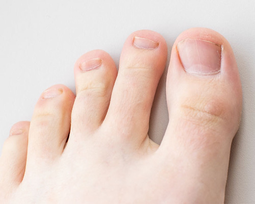 WEINER フットモデル フットモデル フットモデル シリコン 女性 足 爪付き 骨内蔵 シリコンフット女性足サイズ38 ナチュラ 2個セットシリコン製 足模型 フィートモデル 女性マネキン リアルなフェイクフット ジュエリー販売展示 靴・靴下・サンダル展示用 多用途 撮影