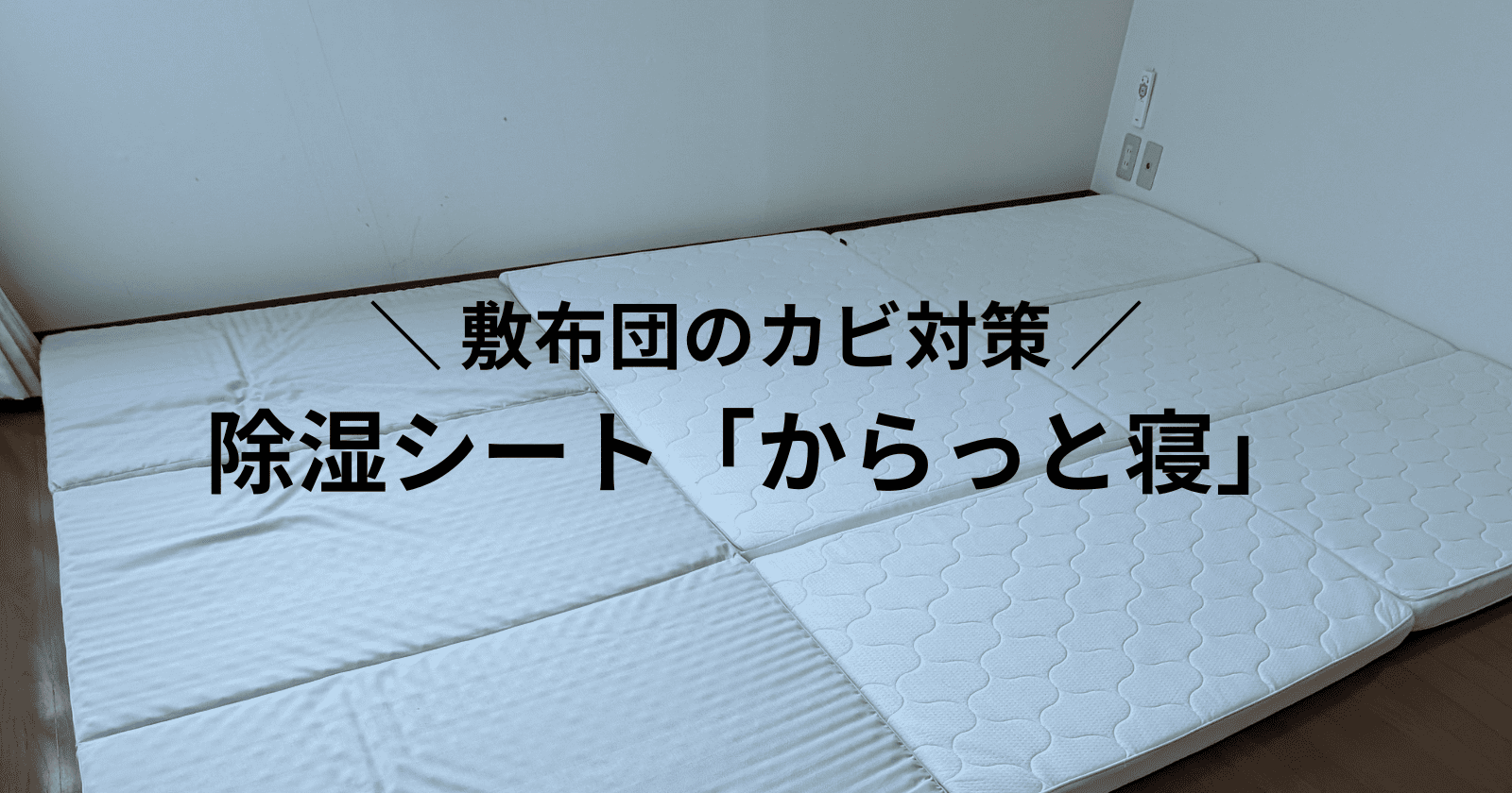 マットレスの湿気対策！カビを予防して快適なベッド環境を整えよう - ＋1 Day