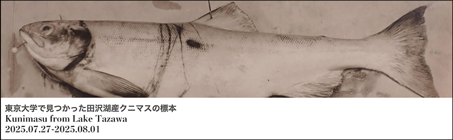 ちょっと一息～人体の不思議展～ : デイサービスセンター浮き雲