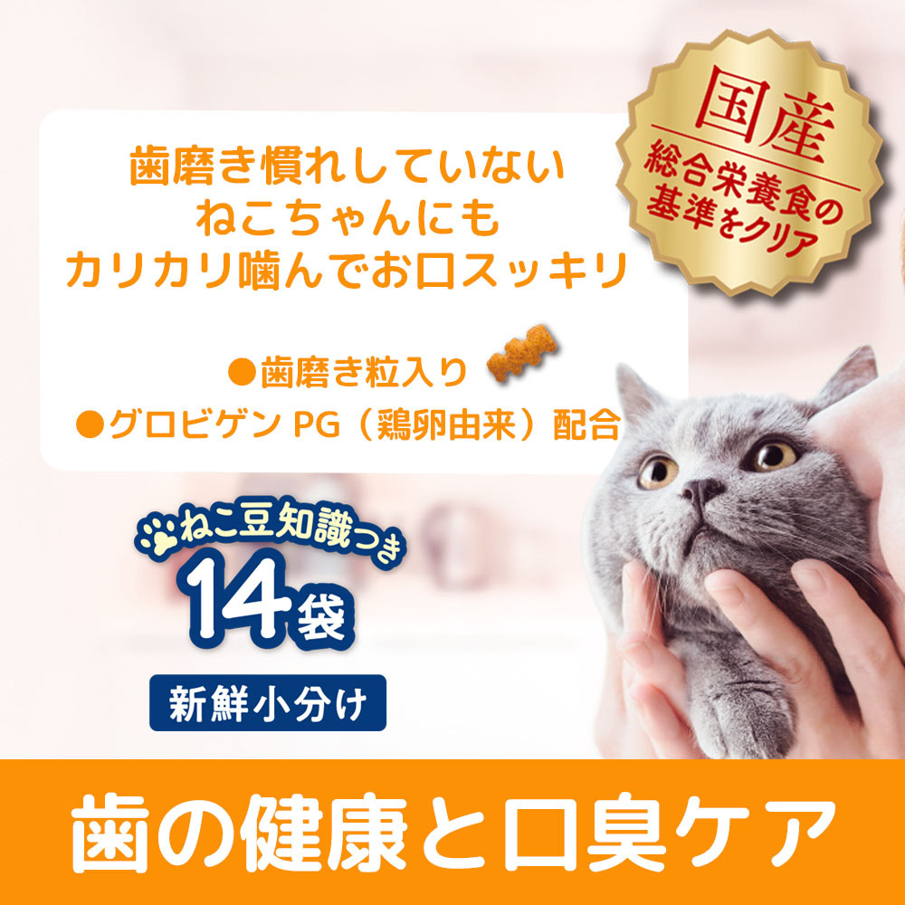 15個セットプレゼント キャット おやつ 歯の健康と口臭ケア 42g フード 猫 ネコ