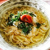 スープにうどんに雑炊！二日酔いに効果的な人気料理レシピ1位はこれだ！ウイスキーを好きになるメディアBarrel-バレル