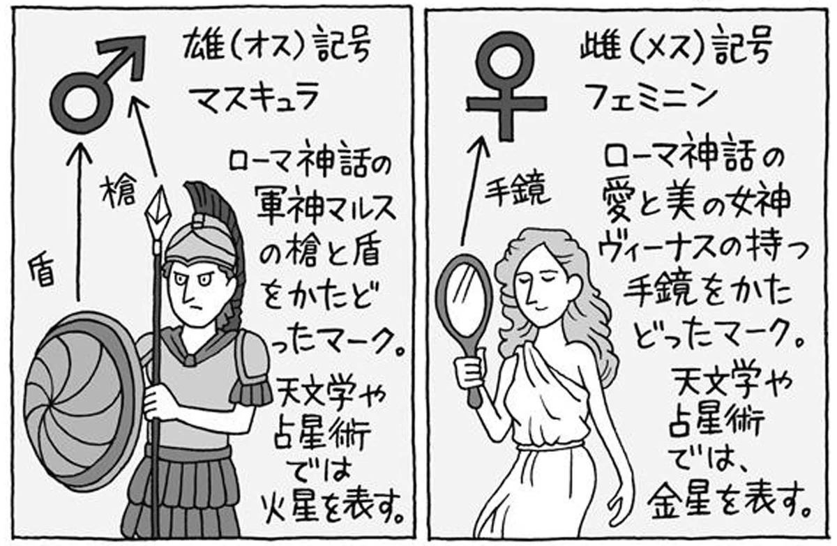 雌記号イラスト無料イラスト・フリー素材なら「イラストAC」