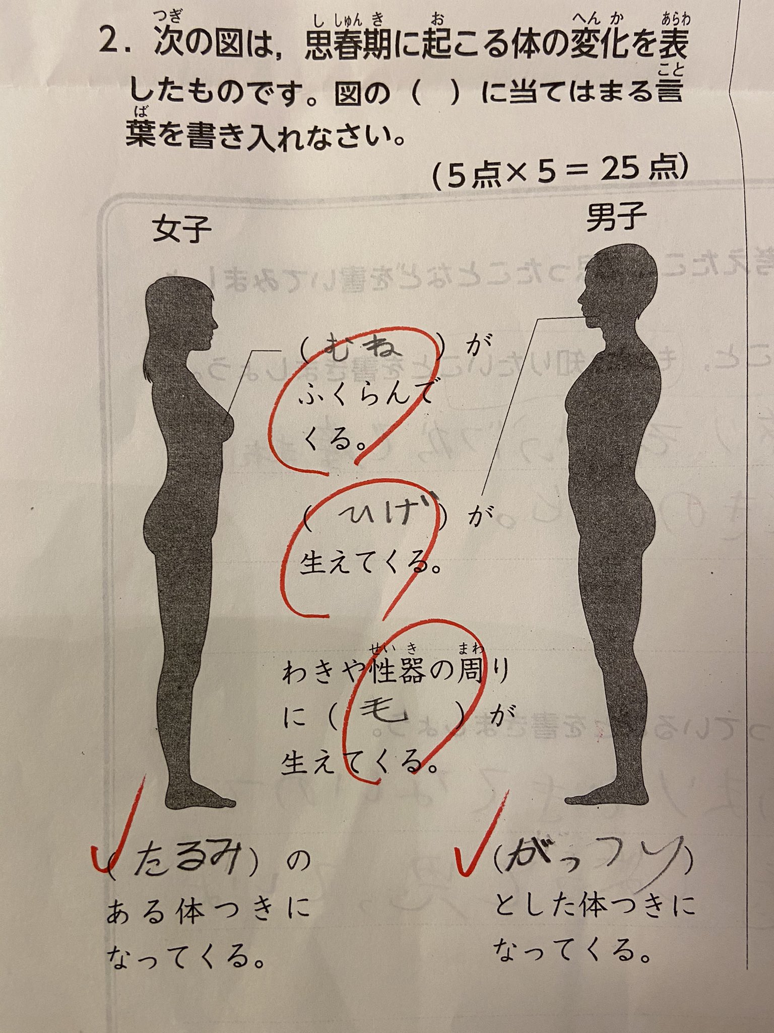 思春期末包クリニック