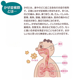 楽天市場 指定医薬部外品 オムニード かぜペッタン 12枚入×3個 胸サイズ 風邪 風邪対策 のど テイコクファルマケア : ヘルシーブライト楽天市場店