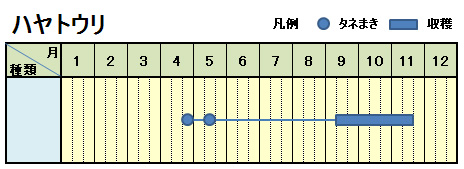 ハヤトウリの育て方植え方と時期は？プランター栽培や摘心方法は？🍀GreenSnap グリーンスナップ