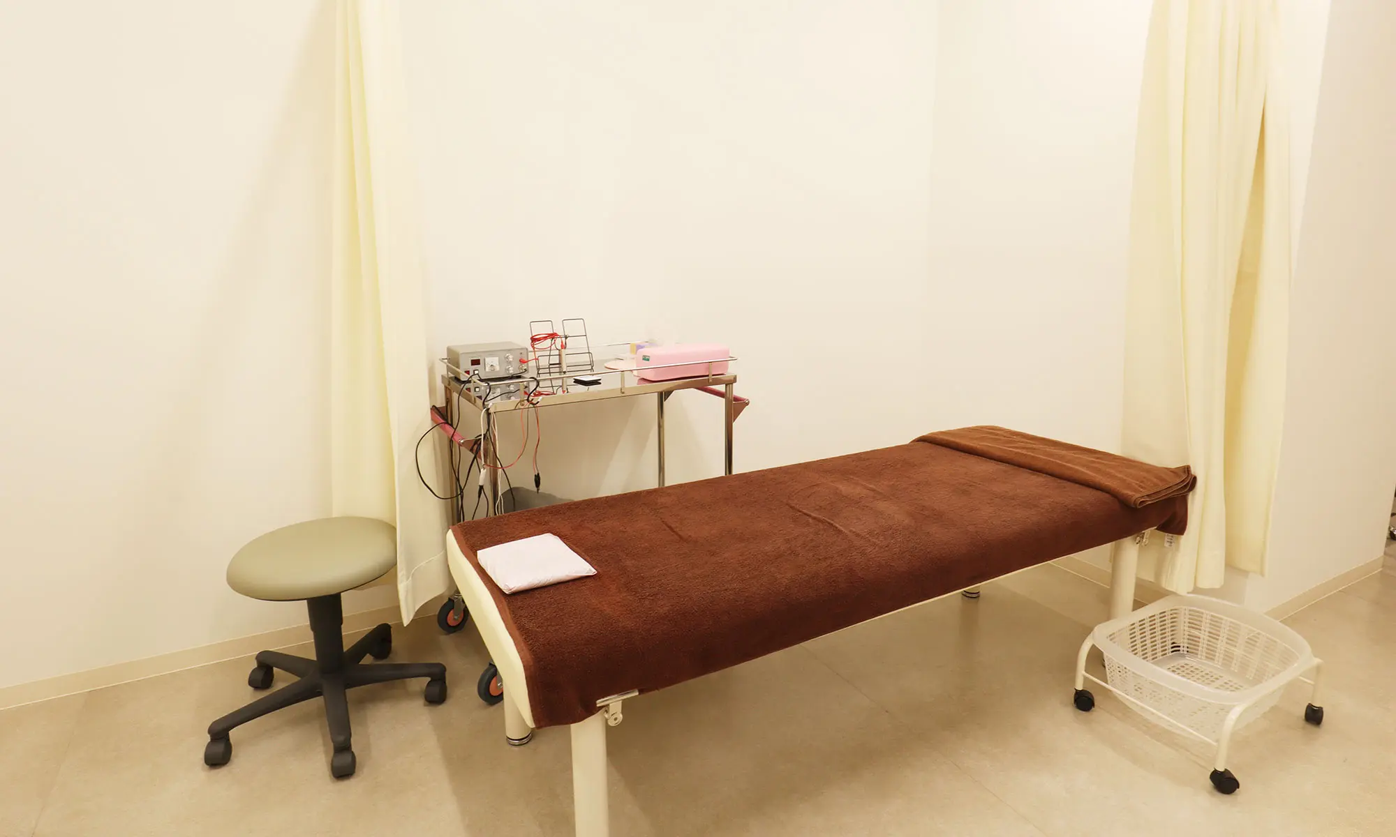 猫が嫌いな植物、猫よけ最強ハーブのおすすめランキングわたしと、暮らし