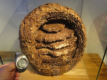 スズメバチはなぜ雀蜂や胡蜂なのか？名前の由来は？滋賀県のハチ駆除業者「ジェイ・ワークス」のブログ