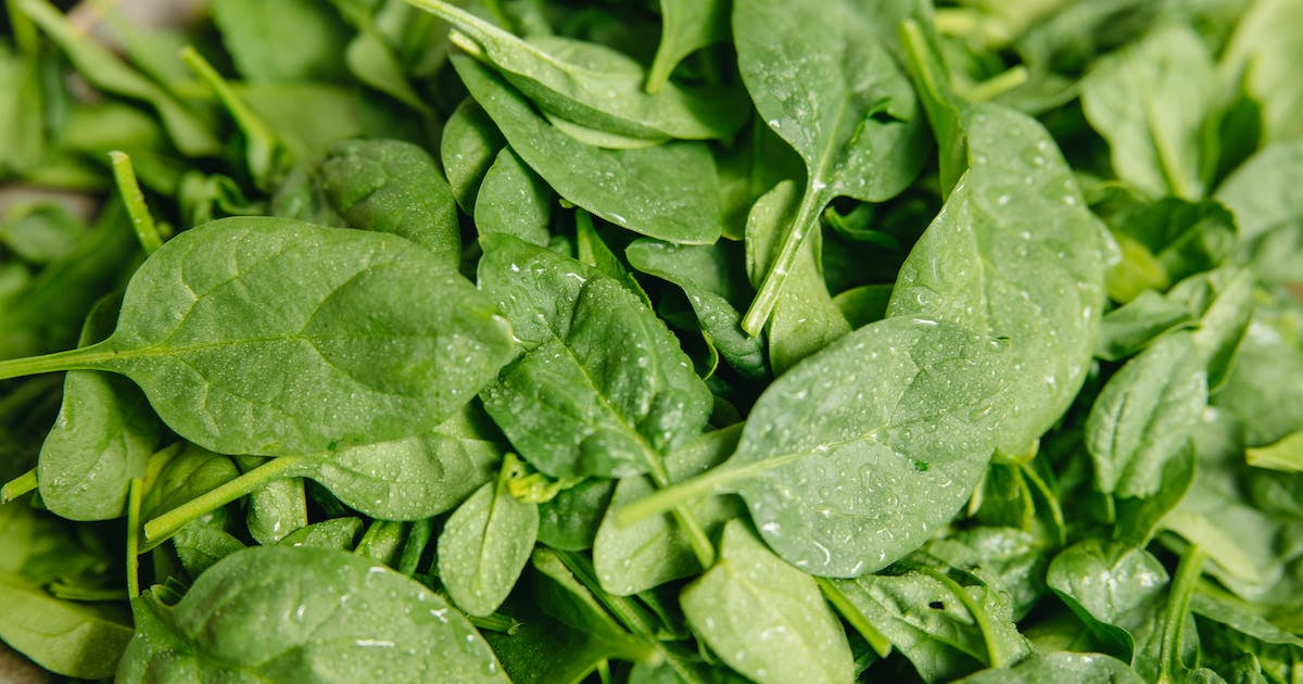 ほうれんそうって英語で？ 子育てで使えるお野菜英語東京・銀座エリア親子の”はなまる英会話”で未来のサッカー選手の英会話力と自信を育てる