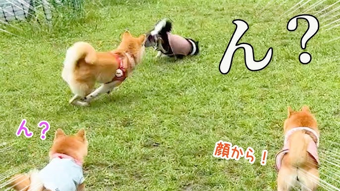 こんな症状はありませんか？長引く手足のしびれ・まひ・脱力ナビ