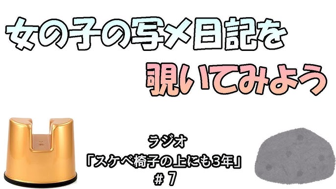 Amazon.co.jp: バスルームチェア スケベ椅子 介護用品