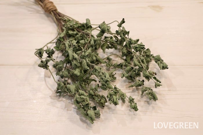 オレガノとはどんなハーブ？使い方やレシピをご紹介デリッシュキッチン
