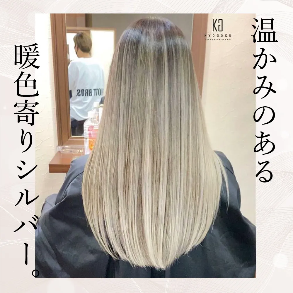 究極の白髪染め続編！40代のメンズにブリーチを使ったシルバーアッシュで白髪がわからない名古屋塩釜口外国人風カラーが得意な寺島洋輔ヘアカラーBLOG