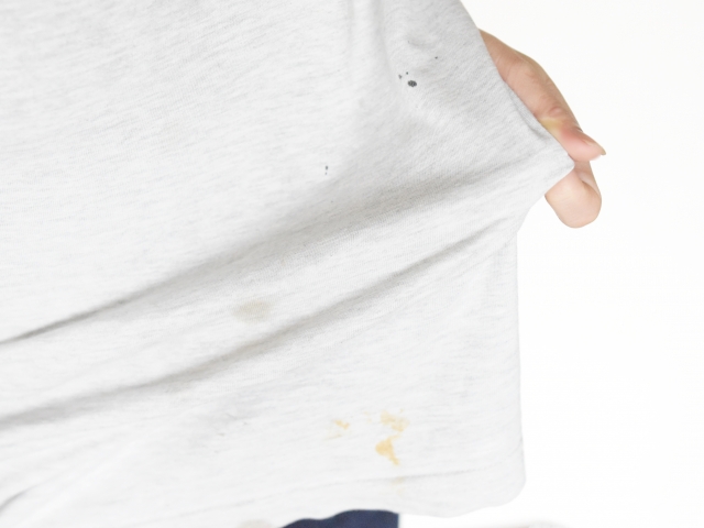 カビの防止術！東京都クリーニング生活衛生同業組合