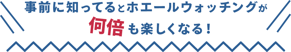 キラーホエール」の意味や使い方 わかりやすく解説 Weblio辞書