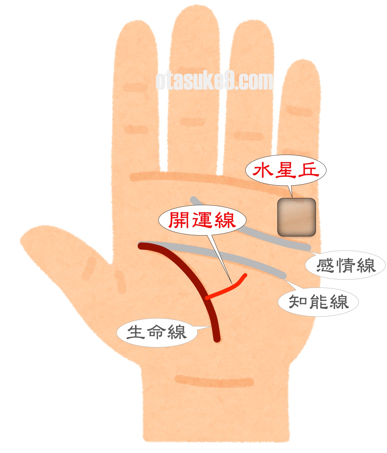 生命線の見方・特徴別に解説する手相占いC CHANNEL