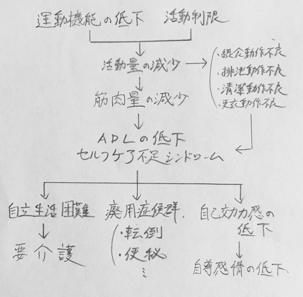 看護過程 関連図が書けるようになる方法〜頻出テンプレ〜鳩ぽっぽ
