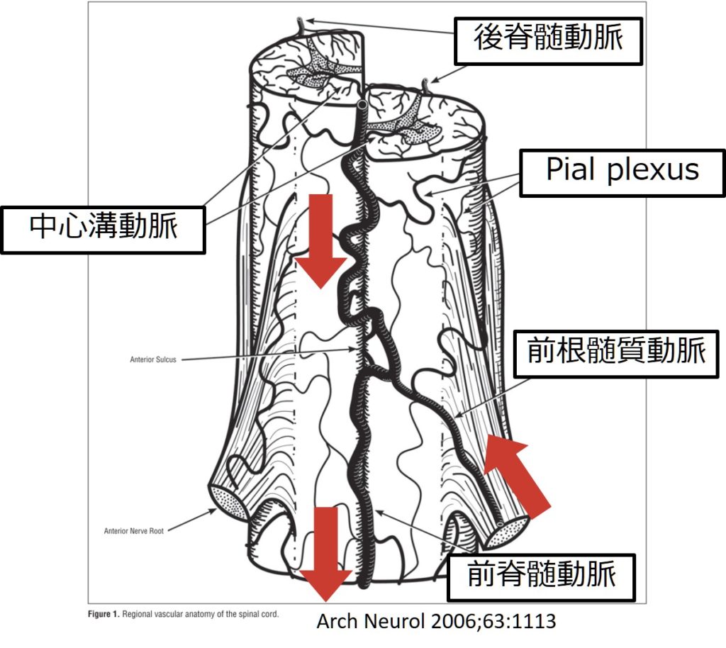 1.肩こりに必要な知識内科から見た肩こり - みやけ内科・循環器科 総合内科のアプローチ