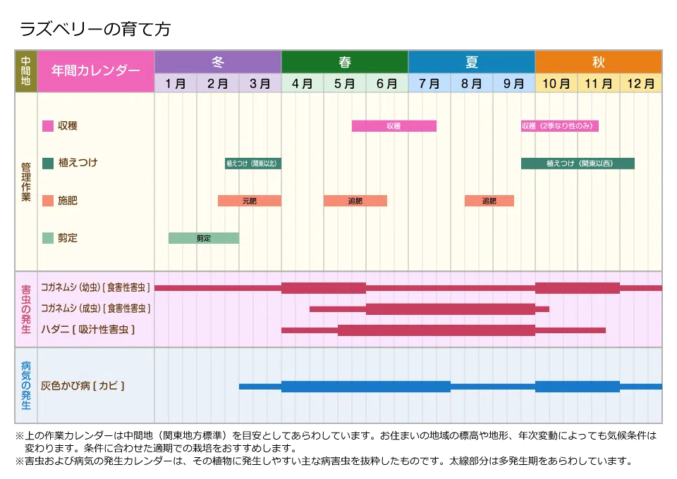 ブルーベリーの植えつけと収穫時期についていきいき菜園生活 公式 ＪＡ京都 暮らしのなかにＪＡを