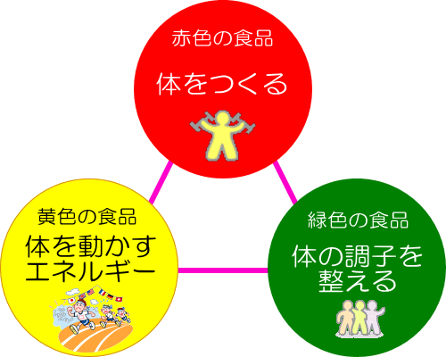 食育と健康食事バランスガイド 三色食品群と６つの基礎食品群