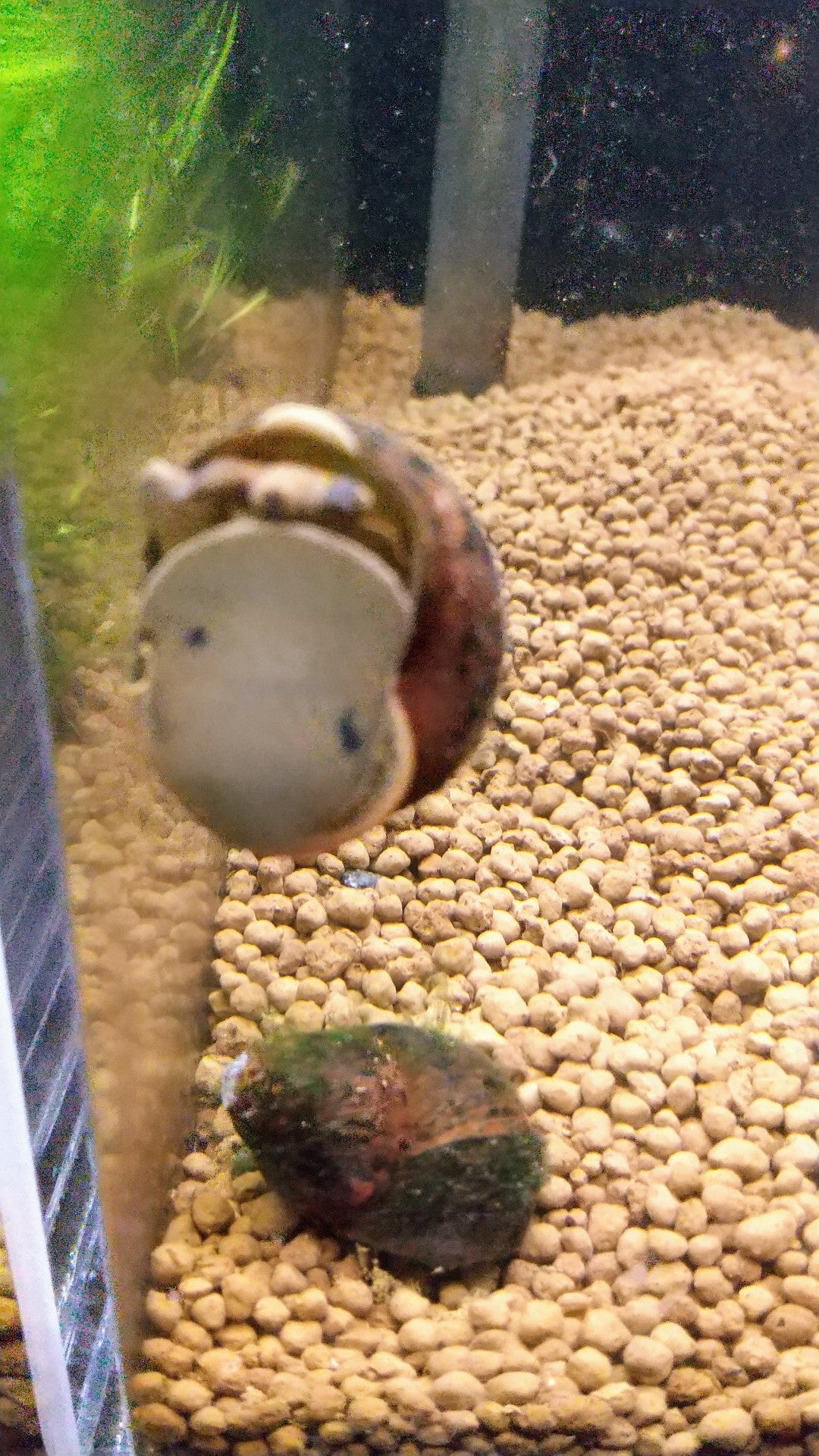 毎日をもっと心地よく！ 快適さがひと目でわかる温湿度計に注目タニタマガジンタニタ