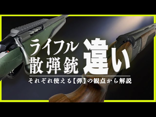 散弾実包の中ってどうなっているの？構成要素の『薬莢・ワッズ・弾薬・雷管・装弾』について詳しく解説！新狩猟世界