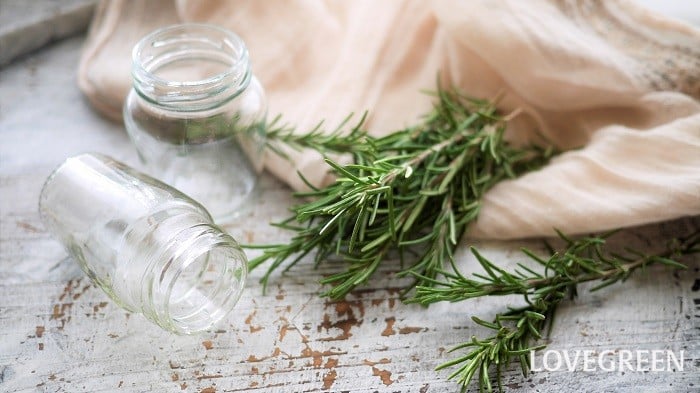 ローズマリーの使い方レシピは？効果効能や保存方法もご紹介 -Food for Well-being -かわしま屋のWebメディア