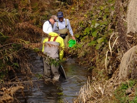 冬の青梅・多摩川の水質を検査キットで調べてみた青梅のヤマメに告ぐ！〜鮎・渓流・ウナギ・ルアー・堤防・ボート釣り