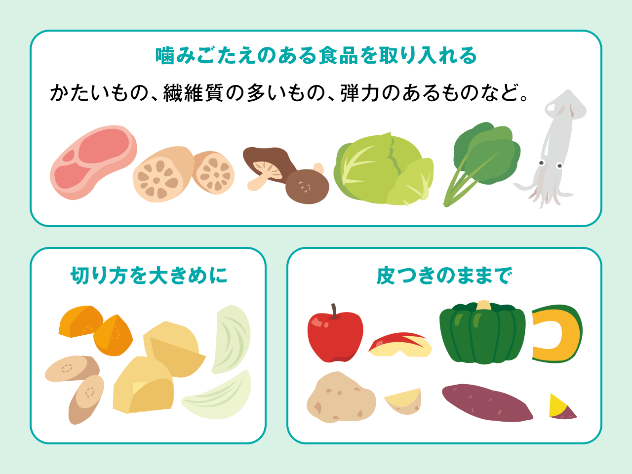 お口のマメ知識 食事の時に噛む力について - ResOU