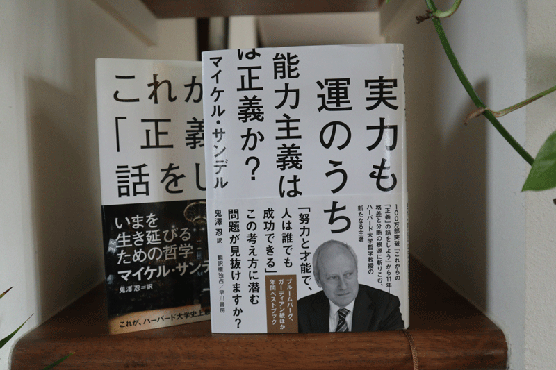 楽天市場 丸抜きポリ袋 ホワイト 小 600枚 幅300×丈420mm 丸抜き ハンドル白ポリ袋、ビニール袋、丸抜き袋、手提げ、手提げ袋、小判抜き、平袋、小さいサイズ、お徳用、丸抜き手提げ、小、S イベント 展示会 お守りお札 神社 初詣ツルツル 厚手 丈夫 丸 ポリ ビニール