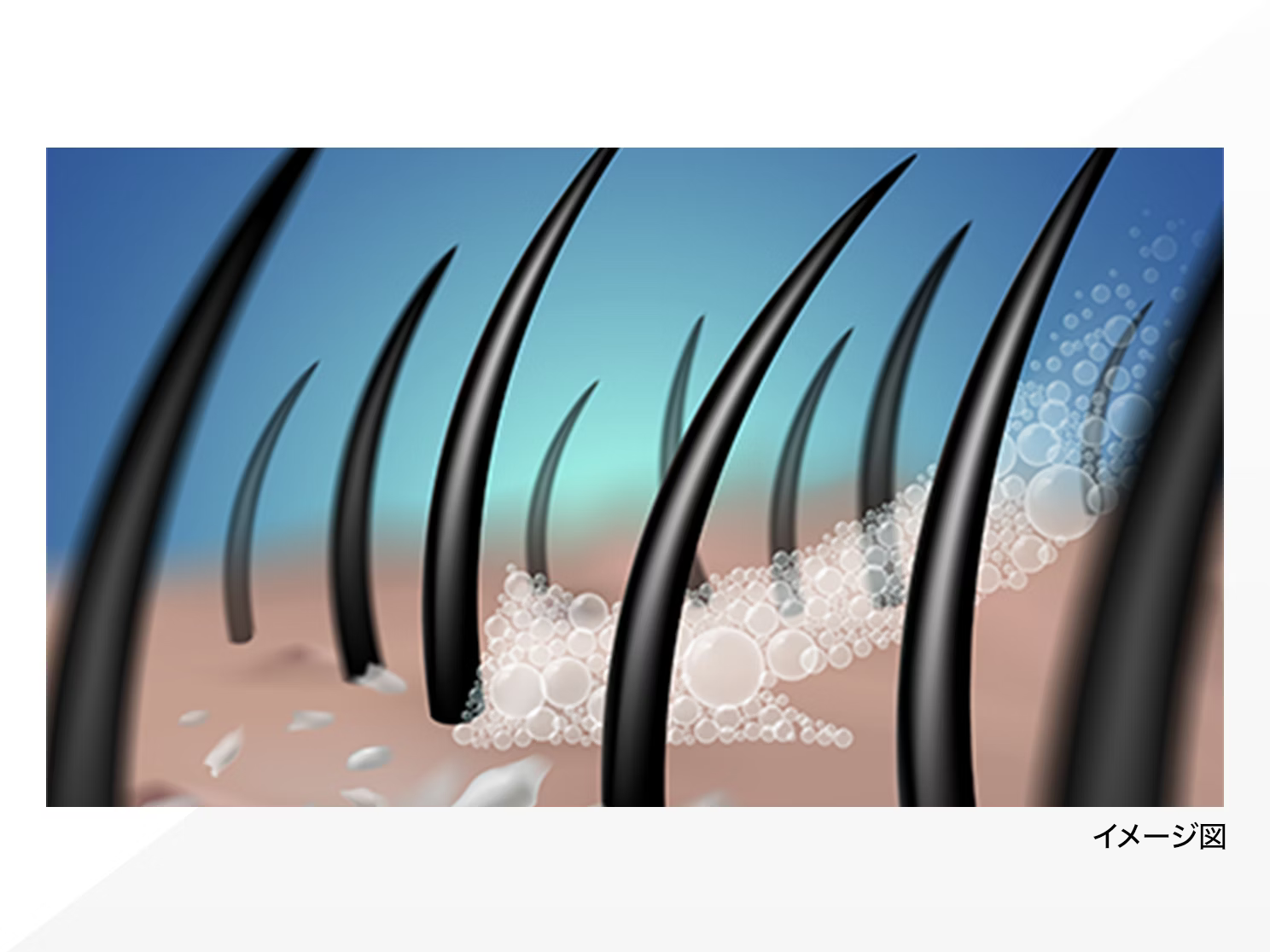 頭皮クレンジングイラスト無料イラスト・フリー素材なら「イラストAC」