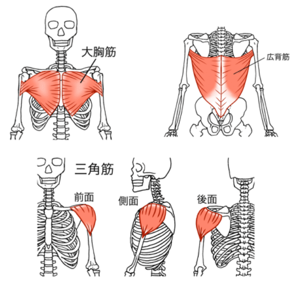 肩関節をカンタンに回す体操です1日7秒手を伸ばしなさいダイヤモンド・オンライン