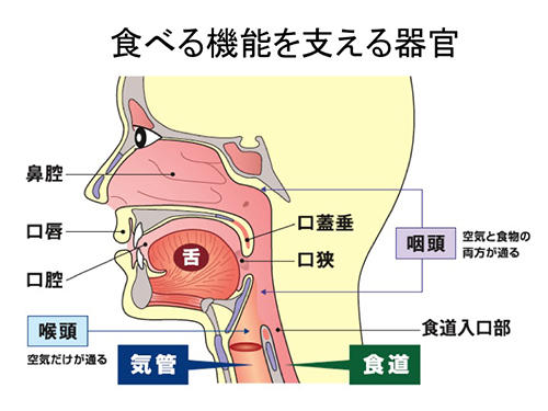 咽頭クリアランス横浜嚥下研究会