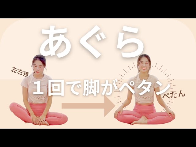 ヨガ感覚骨盤クッションNelture