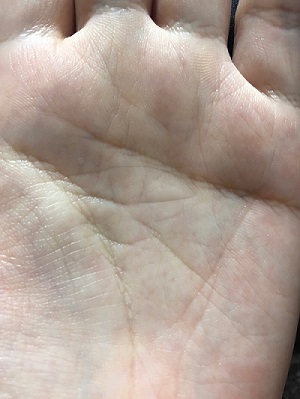 手相紋占い１ 手のひらに網目のようなグリル 格子紋 がある手相簡単な手相の見方を伝授します