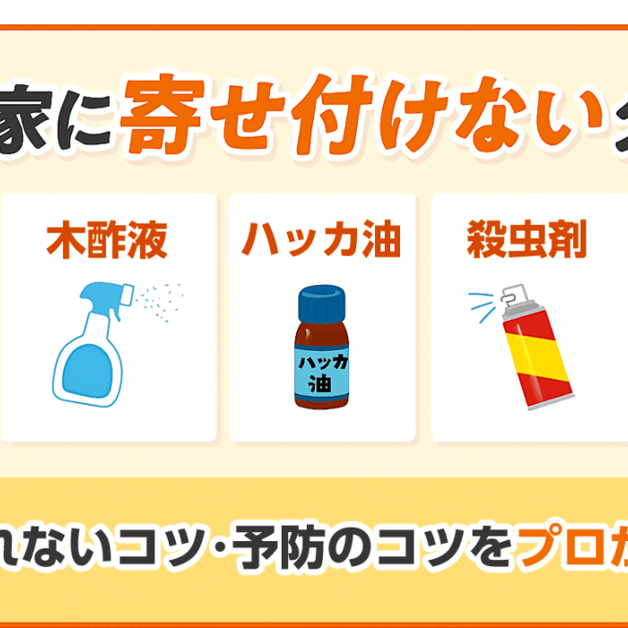駆除後の「戻り蜂」に殺虫剤は効く？おすすめのスプレーと場所・タイミング