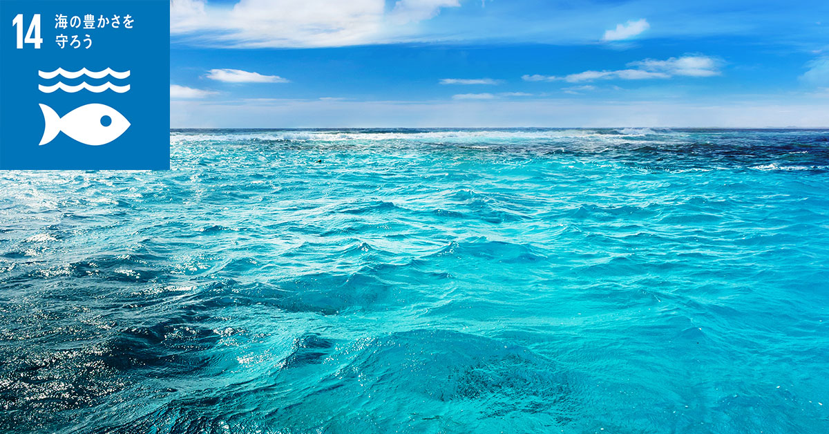 海洋プラスチックごみの量が海にいる魚を上回る?! ダボス会議で知られる世界経済フォーラムは、現在、海へ流入している海洋プラスチックごみは、アジア諸国からの発生によるものが、全体の82％を占めるとしています。環境に負荷をかけた、持続可能とはいえない経済発展が