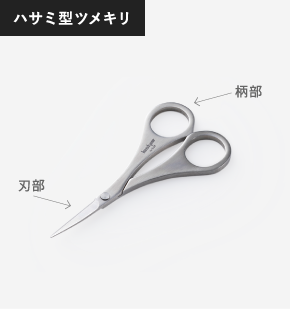 2、3級対応 ネイル検定用☆爪の構造部屋とプリンと文庫本と私。 あ、1コ多い