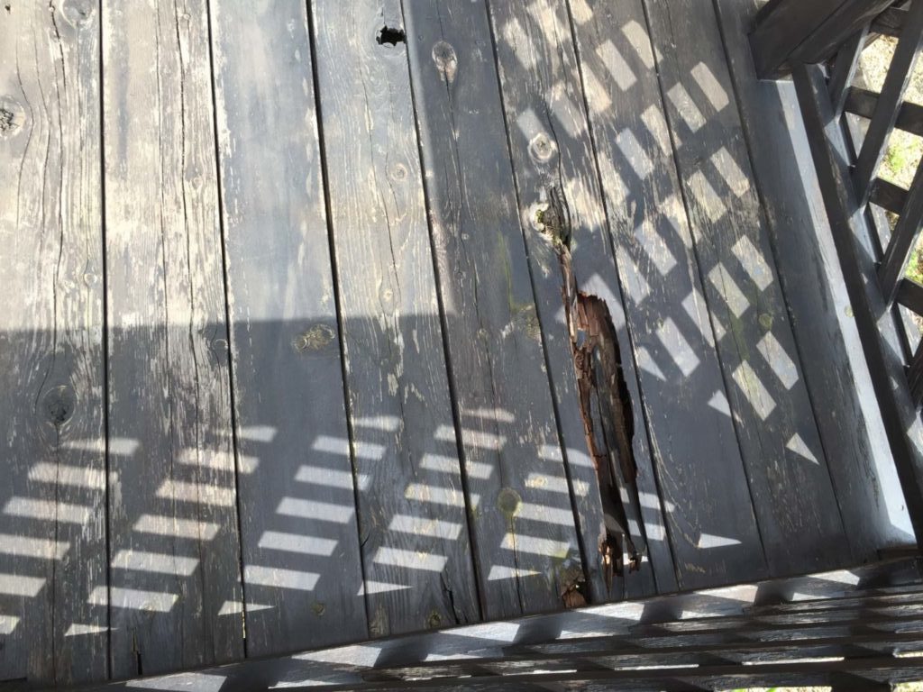 住まいの老朽化、木材腐敗の原因「腐朽菌」で建物寿命が危機的に！ リフォームのお役立ちコラムＢＸゆとりフォーム