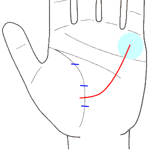 生命線の内側から伸びる長い財運線を持つ人は、身内の援助で財を得る。手相観ぱなせ