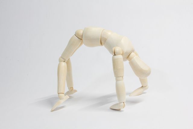 社説＞週のはじめに考える 柳のようにしなやかに：東京新聞デジタル