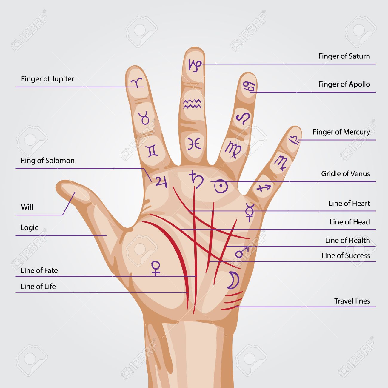 手相紋占い６-1 手のひらに井の字 のようなスクエア□ 四角紋 がある手相