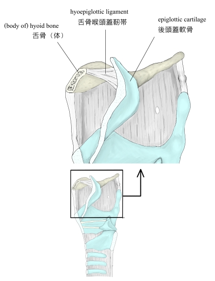 PowerPoint プレゼンテーション