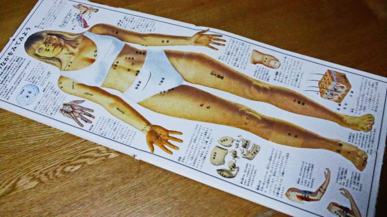 絵本まとめ売り 人体絵本含む 51冊➕8冊 合計59冊