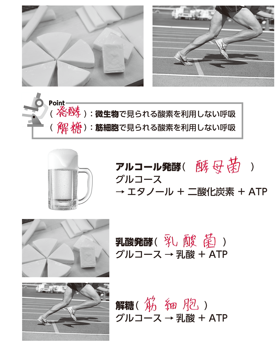 C.P.A.乳科学 マルド博士のミルク語り