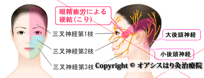 目の乾燥」や「眼精疲労」に効くツボ3選 - ウェザーニュース