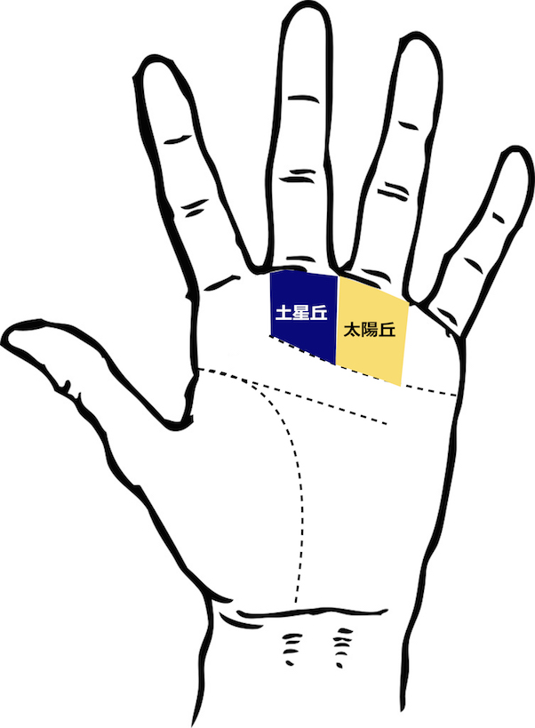 太陽線が2本の手相は成功運や人気運も2倍？ - 手相LABO 星健太郎 Hoshi