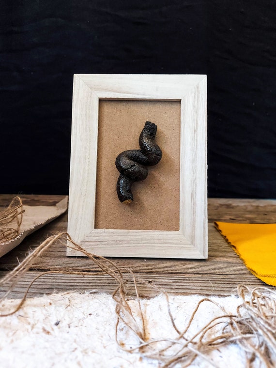 Yahoo!オークション - ぷにぷにウンチ うんこ うんち 大 小 パーティー