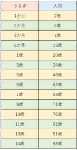 ネザーランドドワーフの平均的な寿命は何歳？うさぎの1年を人間の年齢に例えたら - マッシュブログ